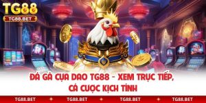 Đá Gà Cựa Dao TG88 - Xem Trực Tiếp, Cá Cược Kịch Tính