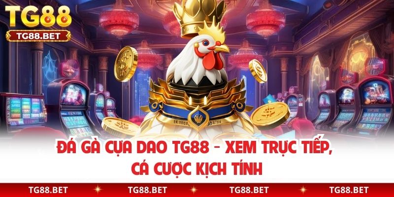 Đá Gà Cựa Dao TG88 - Xem Trực Tiếp, Cá Cược Kịch Tính
